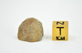 3.83g EL6 Enstatite Chondrite Meteorite I NWA 7401