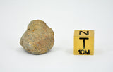 3.83g EL6 Enstatite Chondrite Meteorite I NWA 7401