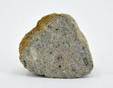 3.83g EL6 Enstatite Chondrite Meteorite I NWA 7401