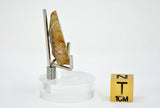 5.25g EL6 Enstatite Chondrite Meteorite I NWA 7401