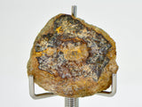 5.25g EL6 Enstatite Chondrite Meteorite I NWA 7401