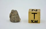 1.36g EL6 Enstatite Chondrite Meteorite I NWA 7401