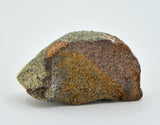 2.35g EL6 Enstatite Chondrite Meteorite I NWA 7401