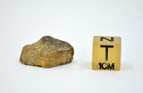 2.71g EL6 Enstatite Chondrite Meteorite I NWA 7401
