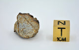 4.88g EL6 Enstatite Chondrite Meteorite I NWA 7401