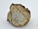 4.88g EL6 Enstatite Chondrite Meteorite I NWA 7401