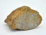 2.98g EL6 Enstatite Chondrite Meteorite I NWA 7401