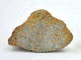 2.98g EL6 Enstatite Chondrite Meteorite I NWA 7401