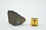 7.44g CK4/5 Carbonaceous Chondrite Piece I NWA 765