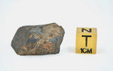 7.44g CK4/5 Carbonaceous Chondrite Piece I NWA 765