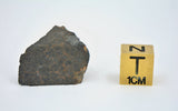 7.44g CK4/5 Carbonaceous Chondrite Piece I NWA 765