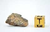 4.44g CV3 Carbonaceous Chondrite Meteorite I NWA 8288