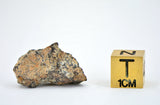 4.44g CV3 Carbonaceous Chondrite Meteorite I NWA 8288