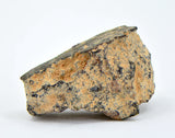 4.44g CV3 Carbonaceous Chondrite Meteorite I NWA 8288