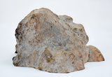 174.46g Eucrite Monomict end piece I HED NWA 8555