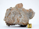 174.46g Eucrite Monomict end piece I HED NWA 8555
