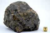 901.3g Eucrite Melt Breccia Main Mass I HED I NWA 18091