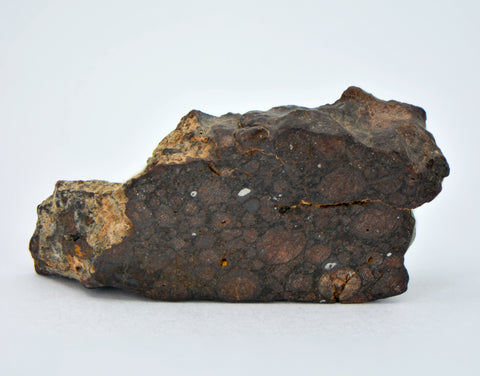 4.12g CR2 Carbonaceous Chondrite Meteorite Slice I NWA 7020