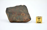 32.72g Unclassified NWA Ordinary Chondrite Meteorite
