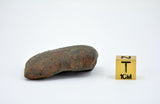 32.72g Unclassified NWA Ordinary Chondrite Meteorite