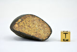 91.83g Unclassified NWA Ordinary Chondrite Meteorite
