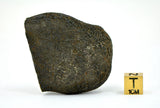 91.83g Unclassified NWA Ordinary Chondrite Meteorite