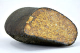 91.83g Unclassified NWA Ordinary Chondrite Meteorite