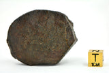 92.61g Unclassified NWA Ordinary Chondrite Meteorite