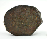 92.61g Unclassified NWA Ordinary Chondrite Meteorite