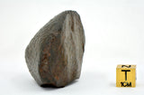 92.61g Unclassified NWA Ordinary Chondrite Meteorite