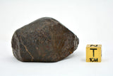 92.61g Unclassified NWA Ordinary Chondrite Meteorite