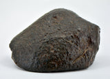 92.61g Unclassified NWA Ordinary Chondrite Meteorite