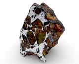 8.82g Golden Pallasite Meteorite end piece
