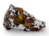 6.1g Golden Pallasite Meteorite end piece