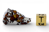 6.1g Golden Pallasite Meteorite end piece