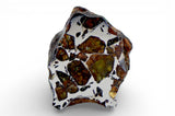 8.82g Golden Pallasite Meteorite end piece