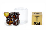 1.56g Golden Pallasite Meteorite slice