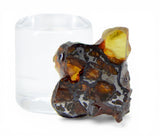 1.56g Golden Pallasite Meteorite slice