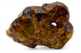 4.53g Golden Pallasite Meteorite slice