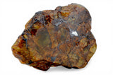 4.53g Golden Pallasite Meteorite slice