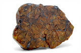 4.53g Golden Pallasite Meteorite slice