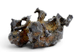27.25g SERICHO Pallasite Meteorite I Sculpted meteorite