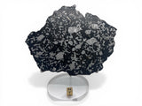 129.24g Steinbach IVA Anomalous Silicated Iron Meteorite slice