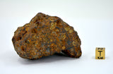 425g Amazing SERICHO Pallasite Meteorite