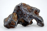 12.05g Amazing SERICHO Pallasite Meteorite