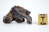 12.05g Amazing SERICHO Pallasite Meteorite