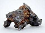 12.05g Amazing SERICHO Pallasite Meteorite