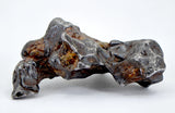 12.05g Amazing SERICHO Pallasite Meteorite