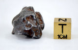 13.87g Amazing SERICHO Pallasite Meteorite with natural hole