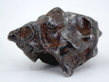 13.87g Amazing SERICHO Pallasite Meteorite with natural hole